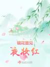 召唤术的错误使用方式
