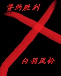 天下後宫傳